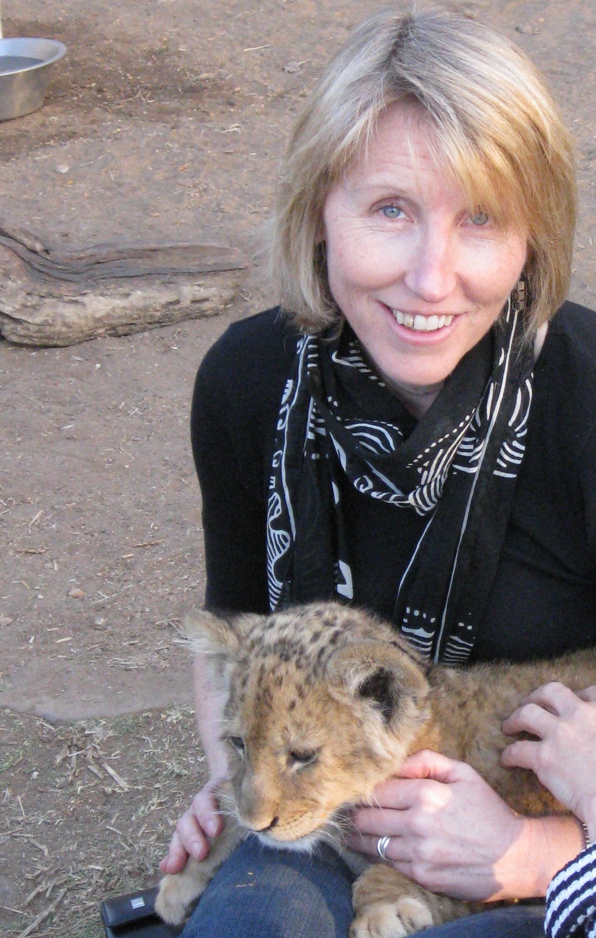 CarolynClute-lioncub