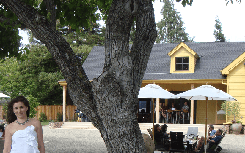 Outdoor wine tasting at a vineyard with people enjoying the ambiance, framed by a large tree.