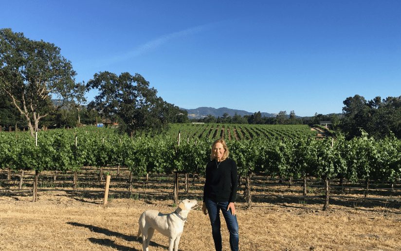 Maggie Colby and her dog in a sunny vineyard, cultivating a fruitful marketing career.