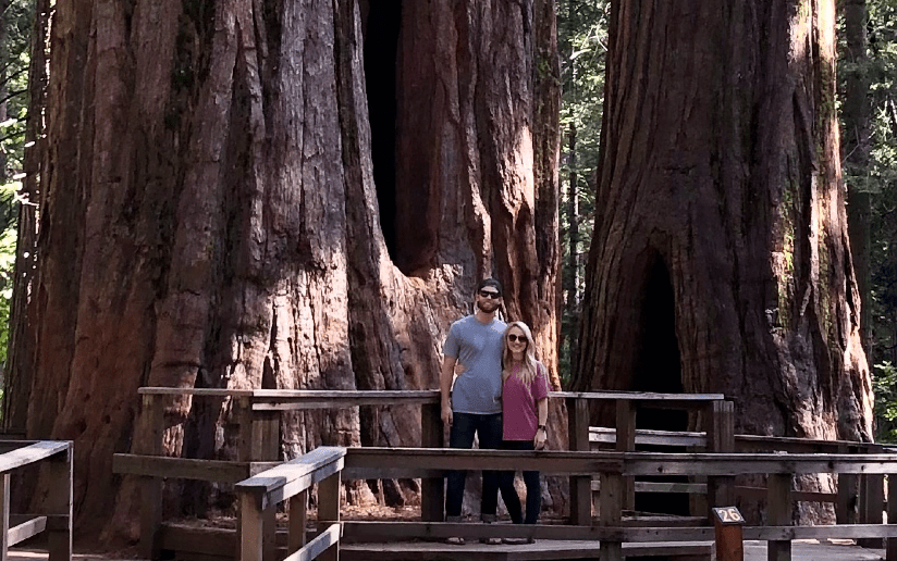 Couple posing near giant sequoia trees in a park, with wooden fence