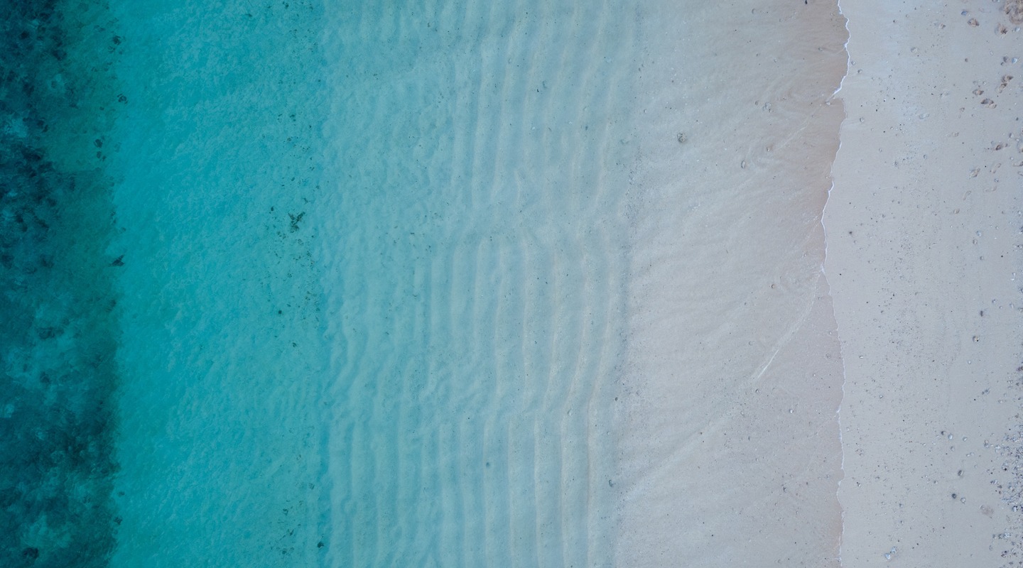 Aerial view of turquoise water meeting sandy beach, ideal for freelance relaxation